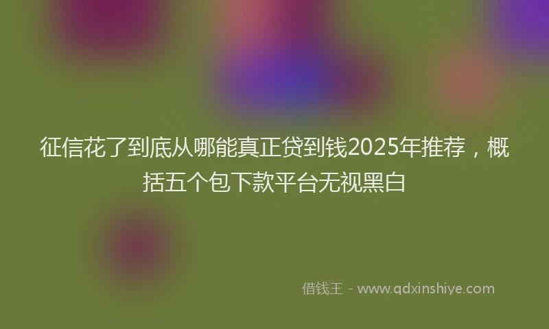 征信花了到底从哪能真正贷到钱2025年推荐，概括五个包下款平台无视黑白