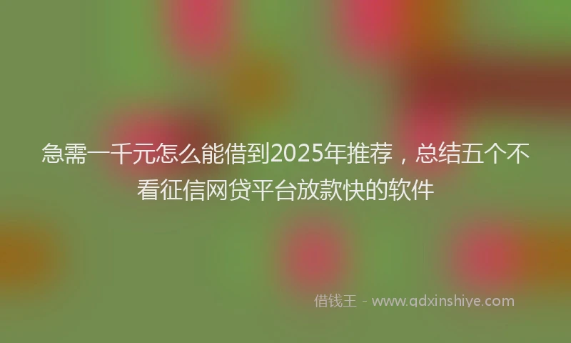 急需一千元怎么能借到2025年推荐，总结五个不看征信网贷平台放款快的软件
