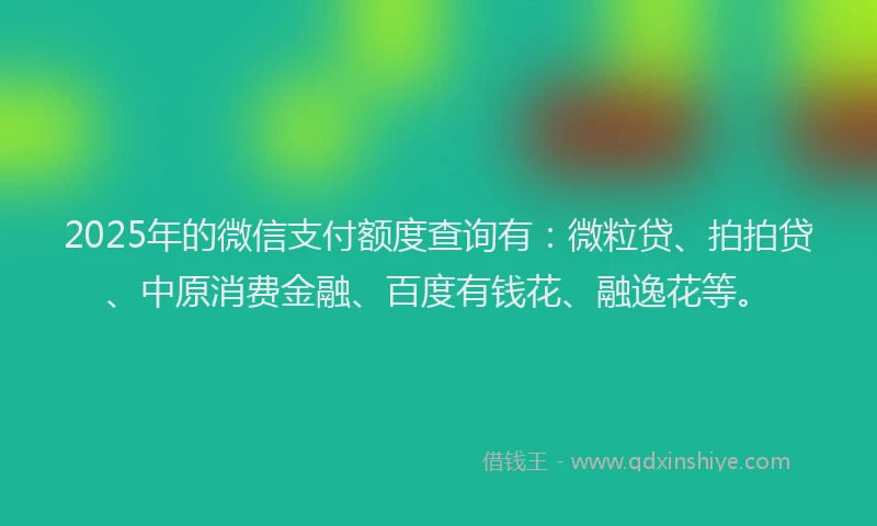 2025年的微信支付额度查询有：微粒贷、拍拍贷、中原消费金融、百度有钱花、融逸花等。