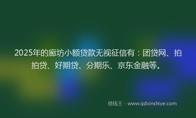 2025年的廊坊小额贷款无视征信有：团贷网、拍拍贷、好期贷、分期乐、京东金融等。