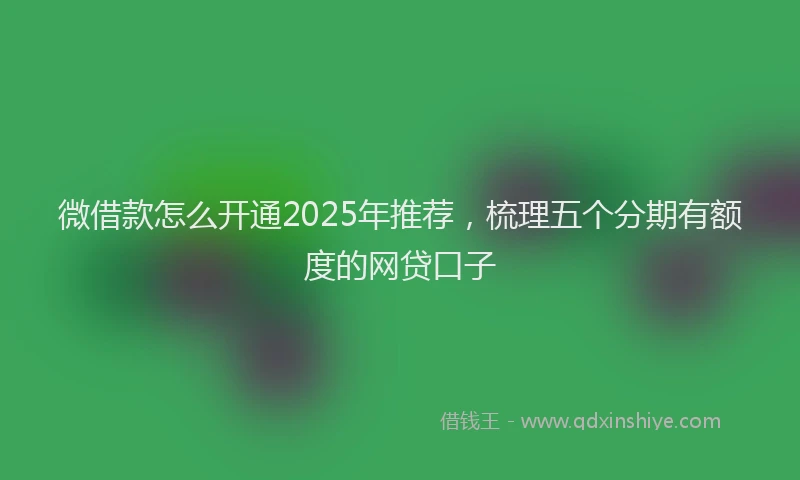 微借款怎么开通2025年推荐，梳理五个分期有额度的网贷口子