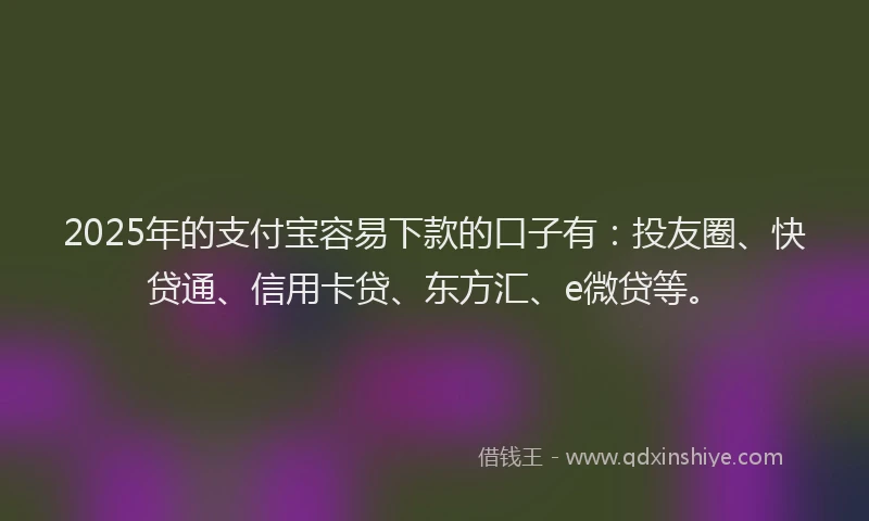 2025年的支付宝容易下款的口子有：投友圈、快贷通、信用卡贷、东方汇、e微贷等。