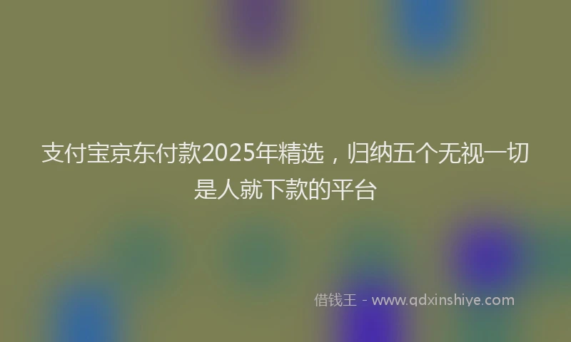 支付宝京东付款2025年精选，归纳五个无视一切是人就下款的平台