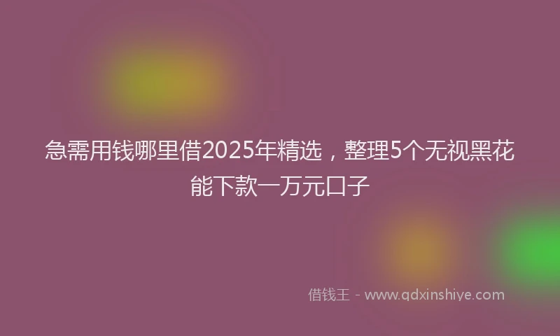 急需用钱哪里借2025年精选，整理5个无视黑花能下款一万元口子