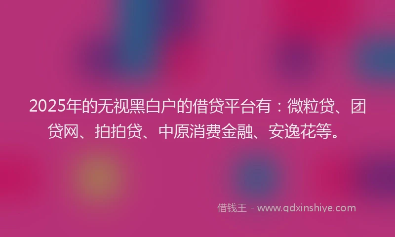 2025年的无视黑白户的借贷平台有：微粒贷、团贷网、拍拍贷、中原消费金融、安逸花等。