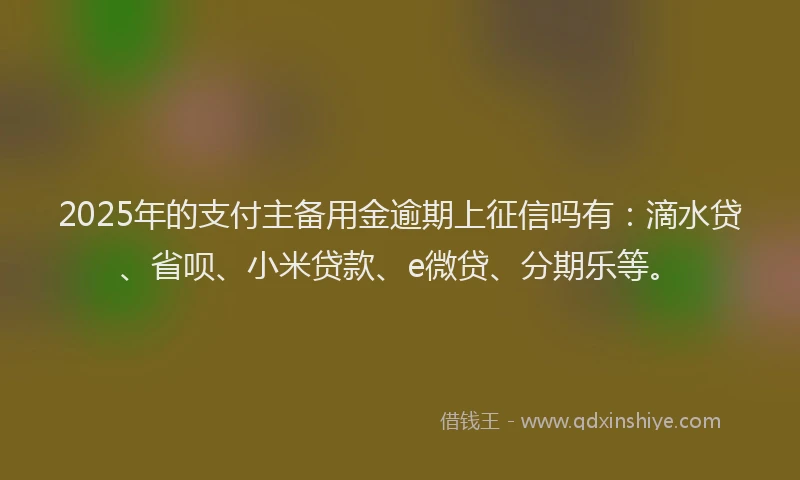 2025年的支付主备用金逾期上征信吗有：滴水贷、省呗、小米贷款、e微贷、分期乐等。