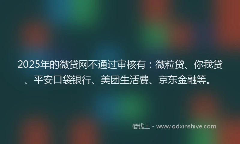 2025年的微贷网不通过审核有：微粒贷、你我贷、平安口袋银行、美团生活费、京东金融等。