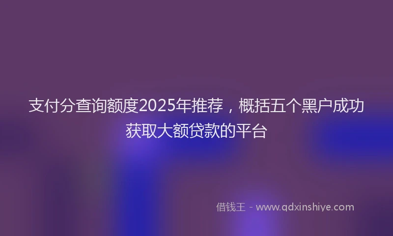 支付分查询额度2025年推荐，概括五个黑户成功获取大额贷款的平台