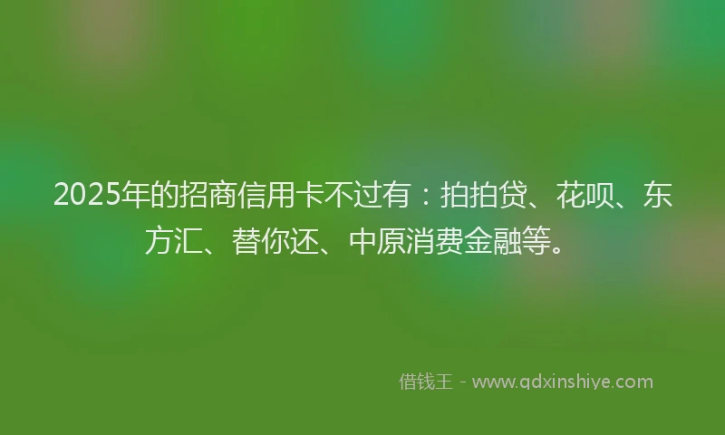 2025年的招商信用卡不过有：拍拍贷、花呗、东方汇、替你还、中原消费金融等。