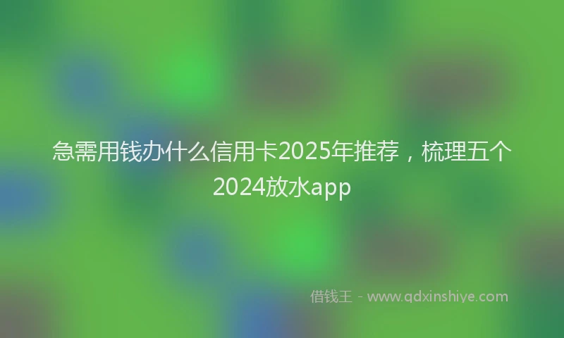 急需用钱办什么信用卡2025年推荐，梳理五个2024放水app