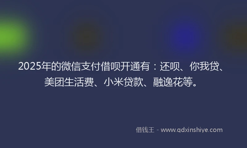 2025年的微信支付借呗开通有：还呗、你我贷、美团生活费、小米贷款、融逸花等。