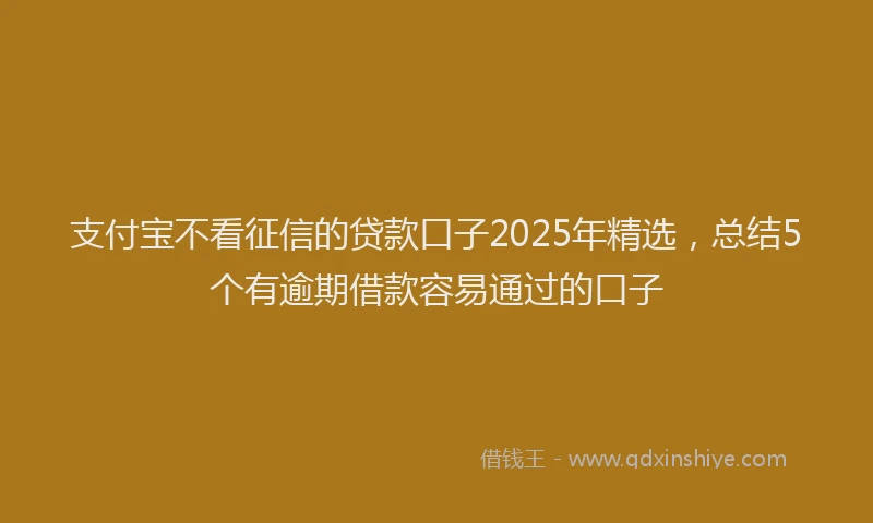 支付宝不看征信的贷款口子2025年精选，总结5个有逾期借款容易通过的口子