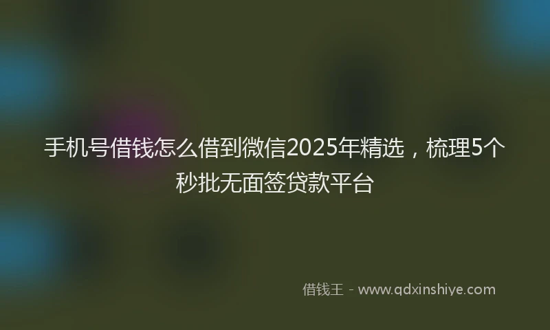 手机号借钱怎么借到微信2025年精选，梳理5个秒批无面签贷款平台