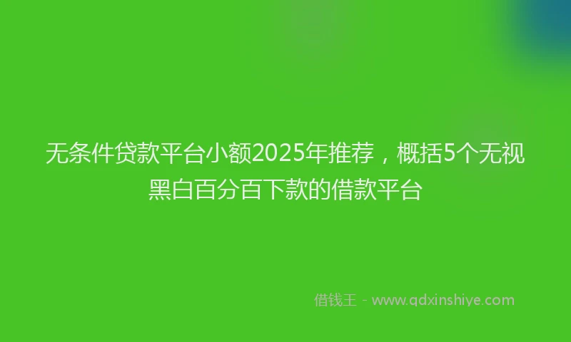 无条件贷款平台小额2025年推荐，概括5个无视黑白百分百下款的借款平台