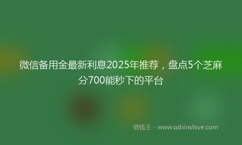 微信备用金最新利息2025年推荐，盘点5个芝麻分700能秒下的平台