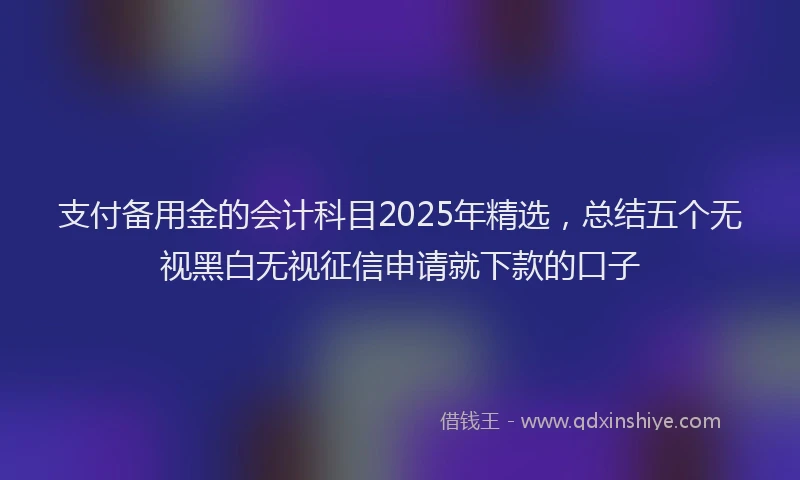 支付备用金的会计科目2025年精选，总结五个无视黑白无视征信申请就下款的口子