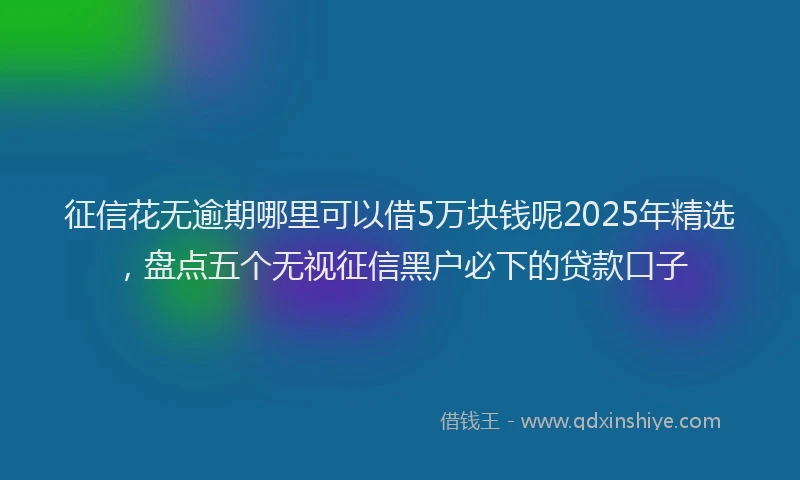 征信花无逾期哪里可以借5万块钱呢2025年精选，盘点五个无视征信黑户必下的贷款口子