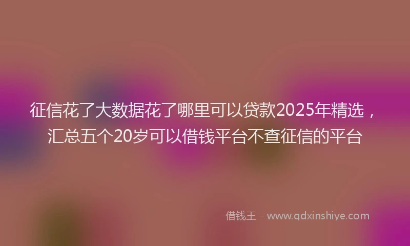 征信花了大数据花了哪里可以贷款2025年精选，汇总五个20岁可以借钱平台不查征信的平台