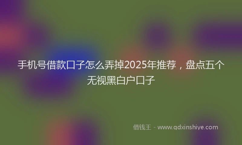 手机号借款口子怎么弄掉2025年推荐，盘点五个无视黑白户口子