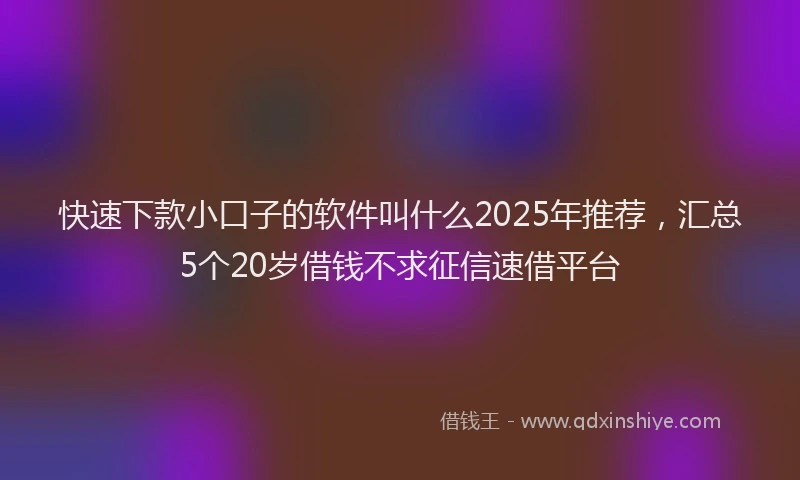 快速下款小口子的软件叫什么2025年推荐，汇总5个20岁借钱不求征信速借平台