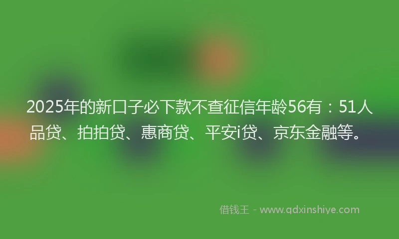 2025年的新口子必下款不查征信年龄56有：51人品贷、拍拍贷、惠商贷、平安i贷、京东金融等。