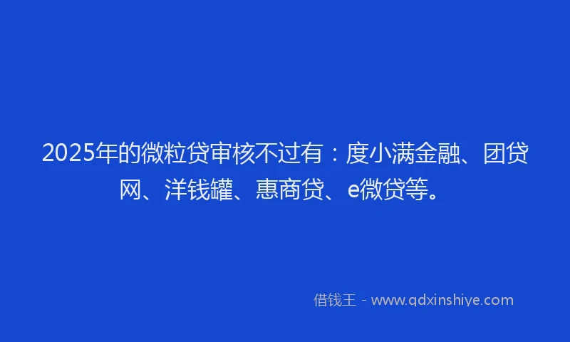 2025年的微粒贷审核不过有：度小满金融、团贷网、洋钱罐、惠商贷、e微贷等。