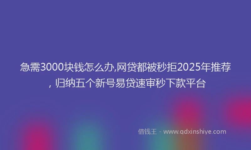 急需3000块钱怎么办,网贷都被秒拒2025年推荐，归纳五个新号易贷速审秒下款平台