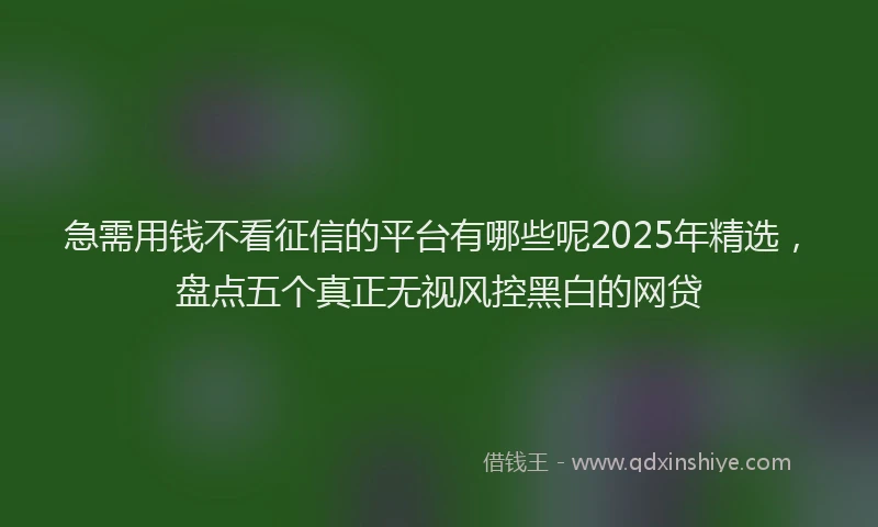 急需用钱不看征信的平台有哪些呢2025年精选，盘点五个真正无视风控黑白的网贷