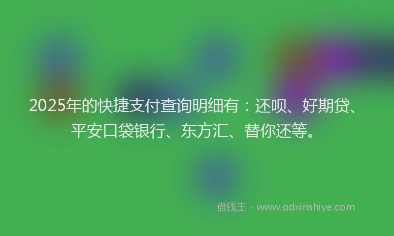 2025年的快捷支付查询明细有：还呗、好期贷、平安口袋银行、东方汇、替你还等。