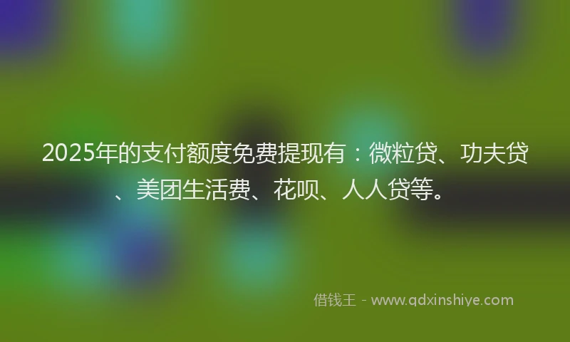 2025年的支付额度免费提现有：微粒贷、功夫贷、美团生活费、花呗、人人贷等。