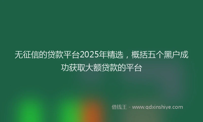 无征信的贷款平台2025年精选，概括五个黑户成功获取大额贷款的平台