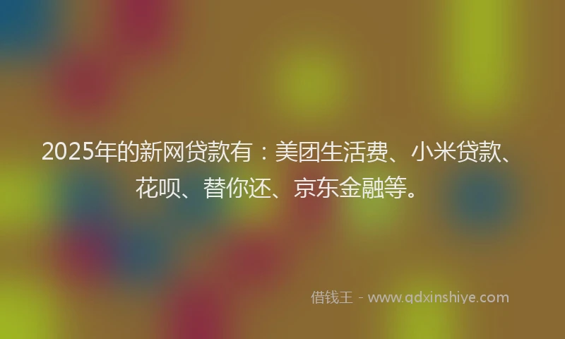 2025年的新网贷款有：美团生活费、小米贷款、花呗、替你还、京东金融等。