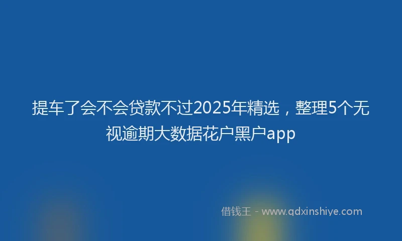 提车了会不会贷款不过2025年精选，整理5个无视逾期大数据花户黑户app
