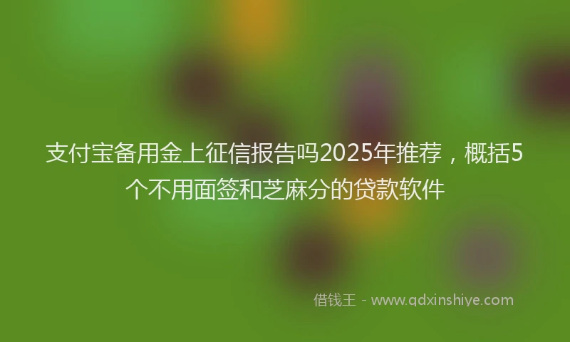 支付宝备用金上征信报告吗2025年推荐，概括5个不用面签和芝麻分的贷款软件
