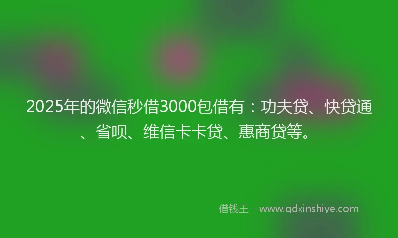 2025年的微信秒借3000包借有：功夫贷、快贷通、省呗、维信卡卡贷、惠商贷等。