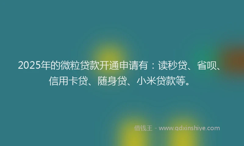 2025年的微粒贷款开通申请有：读秒贷、省呗、信用卡贷、随身贷、小米贷款等。