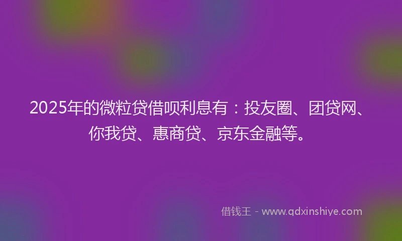 2025年的微粒贷借呗利息有：投友圈、团贷网、你我贷、惠商贷、京东金融等。