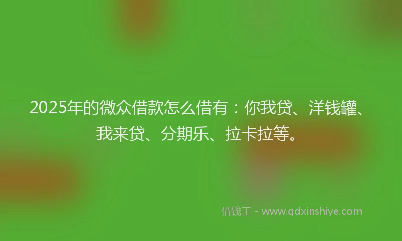 2025年的微众借款怎么借有：你我贷、洋钱罐、我来贷、分期乐、拉卡拉等。