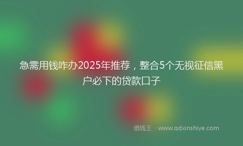 急需用钱咋办2025年推荐，整合5个无视征信黑户必下的贷款口子