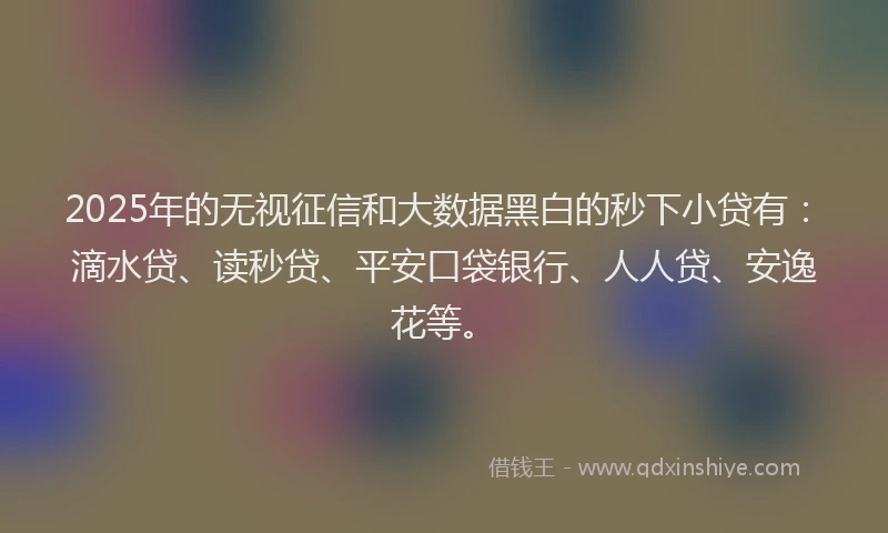2025年的无视征信和大数据黑白的秒下小贷有：滴水贷、读秒贷、平安口袋银行、人人贷、安逸花等。