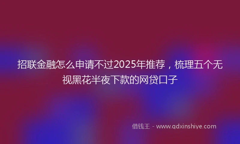 招联金融怎么申请不过2025年推荐，梳理五个无视黑花半夜下款的网贷口子
