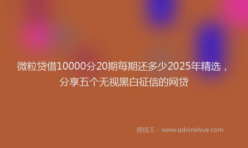 微粒贷借10000分20期每期还多少2025年精选，分享五个无视黑白征信的网贷