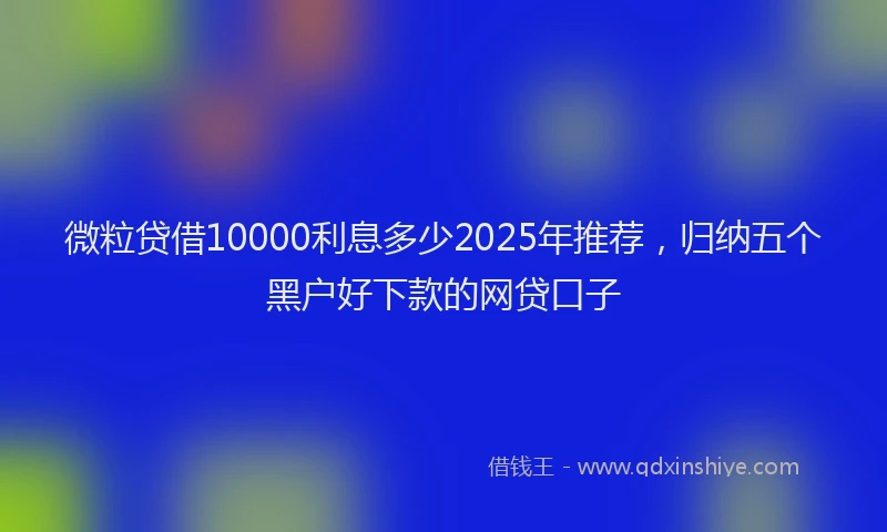 微粒贷借10000利息多少2025年推荐，归纳五个黑户好下款的网贷口子