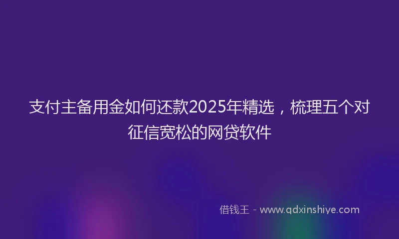 支付主备用金如何还款2025年精选，梳理五个对征信宽松的网贷软件