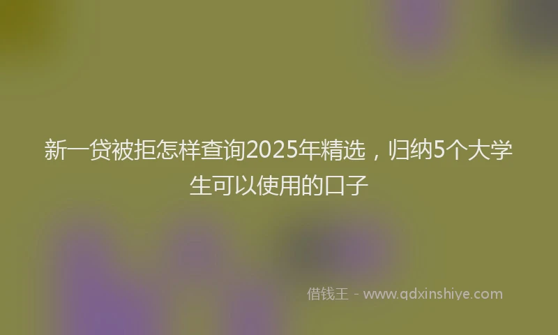 新一贷被拒怎样查询2025年精选，归纳5个大学生可以使用的口子