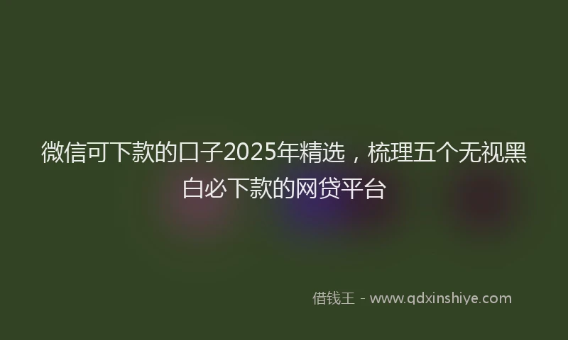 微信可下款的口子2025年精选，梳理五个无视黑白必下款的网贷平台
