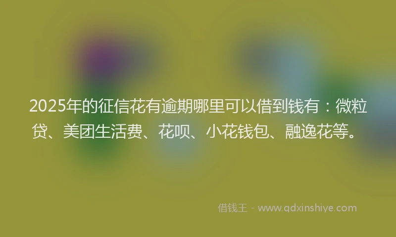 2025年的征信花有逾期哪里可以借到钱有：微粒贷、美团生活费、花呗、小花钱包、融逸花等。