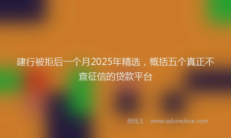 建行被拒后一个月2025年精选，概括五个真正不查征信的贷款平台