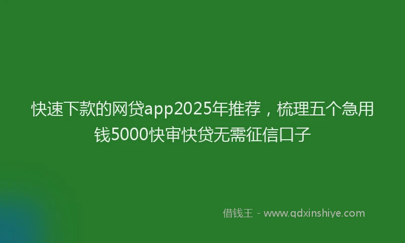 快速下款的网贷app2025年推荐，梳理五个急用钱5000快审快贷无需征信口子