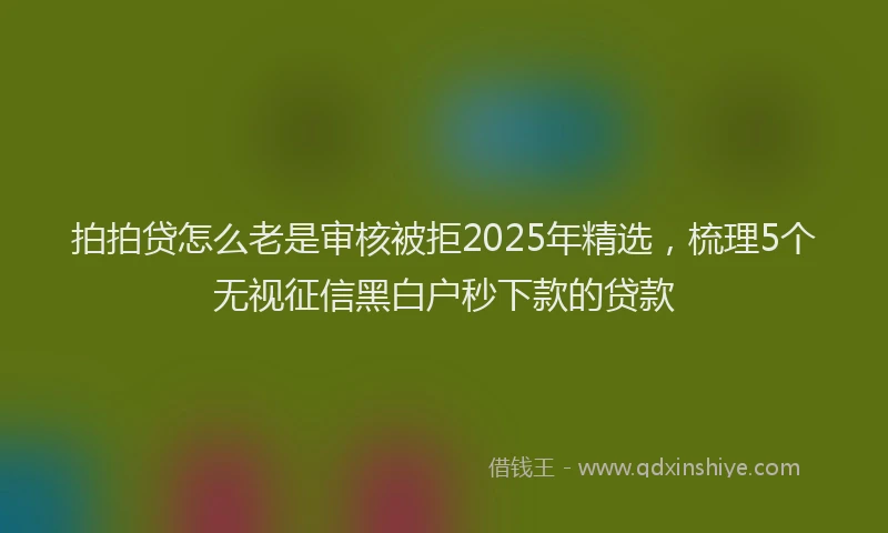 拍拍贷怎么老是审核被拒2025年精选，梳理5个无视征信黑白户秒下款的贷款